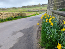 Gill Lane Eastertide Spring 2026