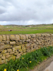 Eastertide 2026 at Newsholme